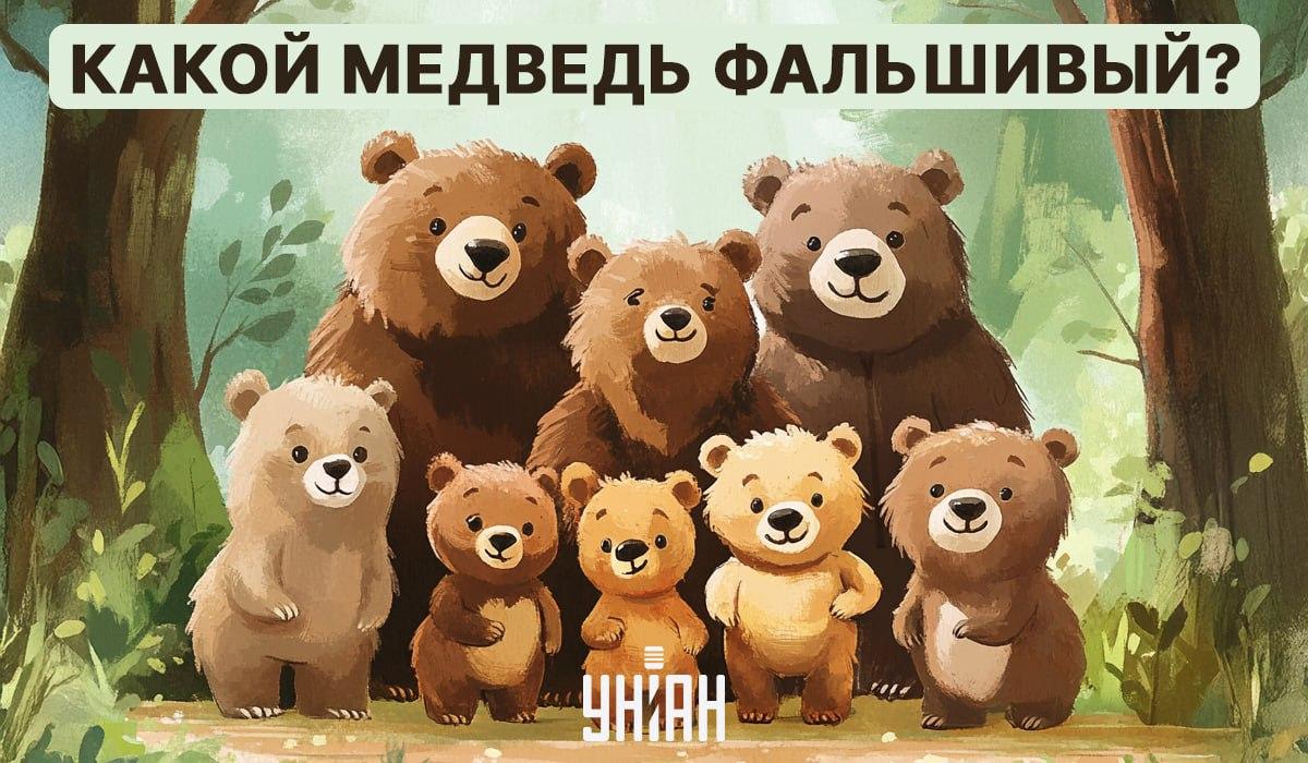 Nous devons chercher une énigme visuelle 