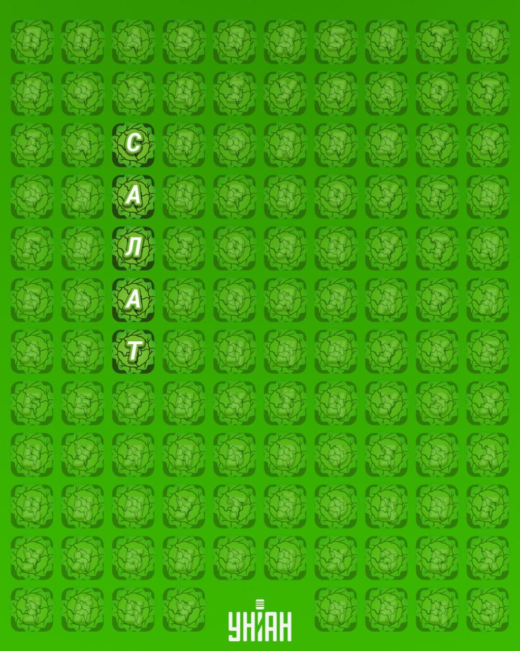 98 % des gens ne peuvent pas trouver le mot 