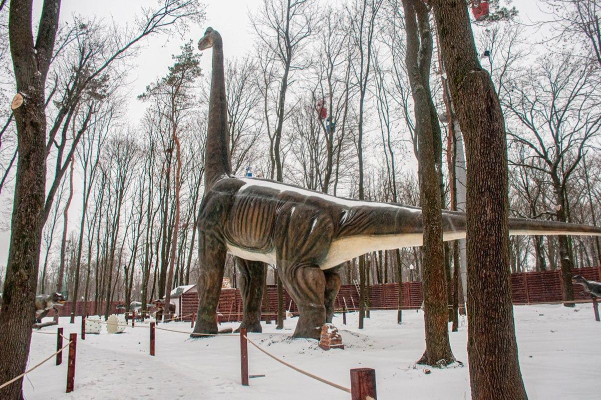 Trouver un chien dans la neige en 10 secondes / Moje collage