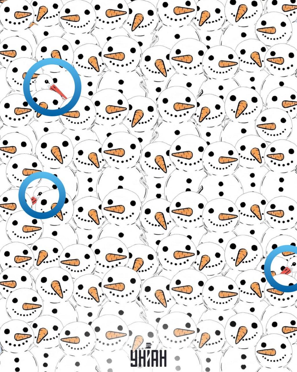 Trouver 3 cigognes parmi des bonshommes de neige en 11 secondes : une illusion d'optique étonnante