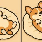 Test de QI : trouver 3 différences dans une photo