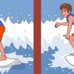 Quelle est la différence entre les deux types : trouvez