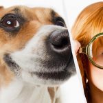 Seul un véritable titan du QI verra un chien dans