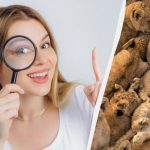 Seulement 3 % des personnes trouvent des chats parmi les