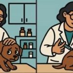 Test de QI : trouver 3 différences dans la photo