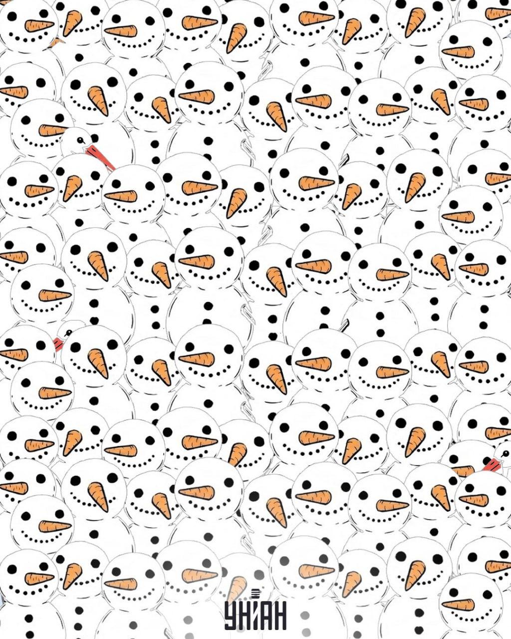 Trouver 3 cigognes parmi des bonshommes de neige en 11 secondes : une illusion d'optique étonnante