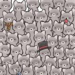 Une énigme pour les vrais génies : trouvez le chat